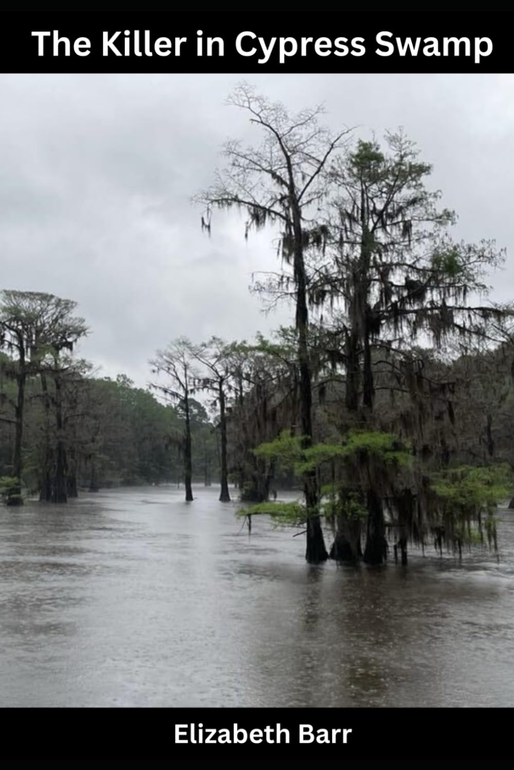 The Killer in Cypress Swamp (A Little Spicy, A Little Dicey)